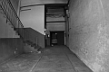 MAS_8142