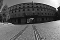 MAS_8143