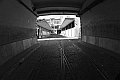 MAS_8146