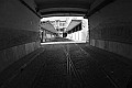 MAS_8147