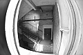 MAS_8166