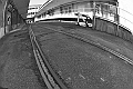 MAS_8168