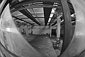 MAS_8169
