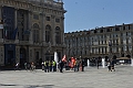 MAS_2427