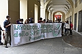 MAS_3487