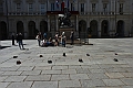 MAS_2562