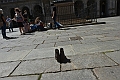 MAS_2563