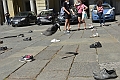MAS_2667
