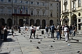 MAS_2728