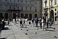 MAS_2729