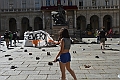 MAS_2739