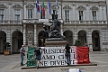 MAS_1649