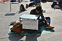 MAS_1046