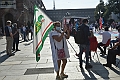 MAS_1564