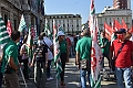 MAS_1586