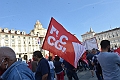 MAS_1684