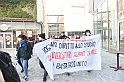 MAS_1426