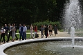 MAS_4883