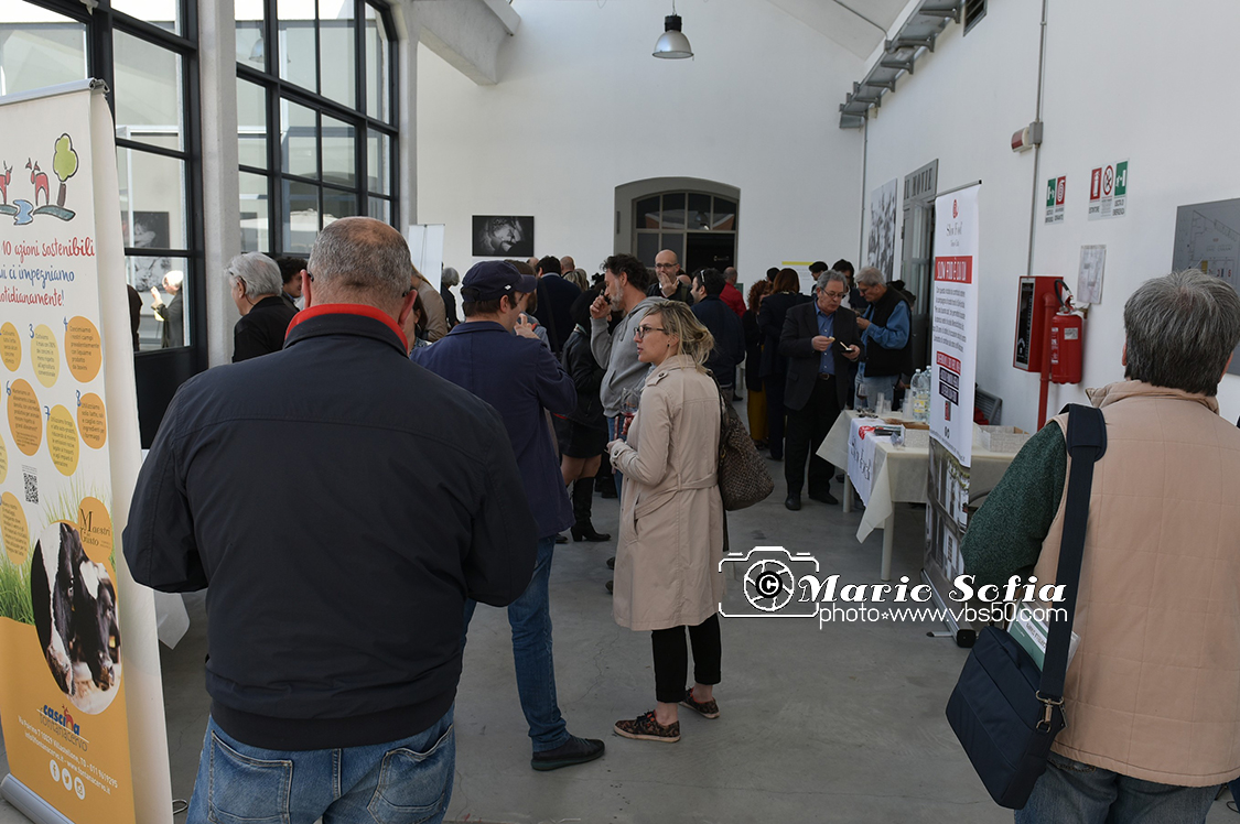 MAS_1004FotoMarioS.jpg