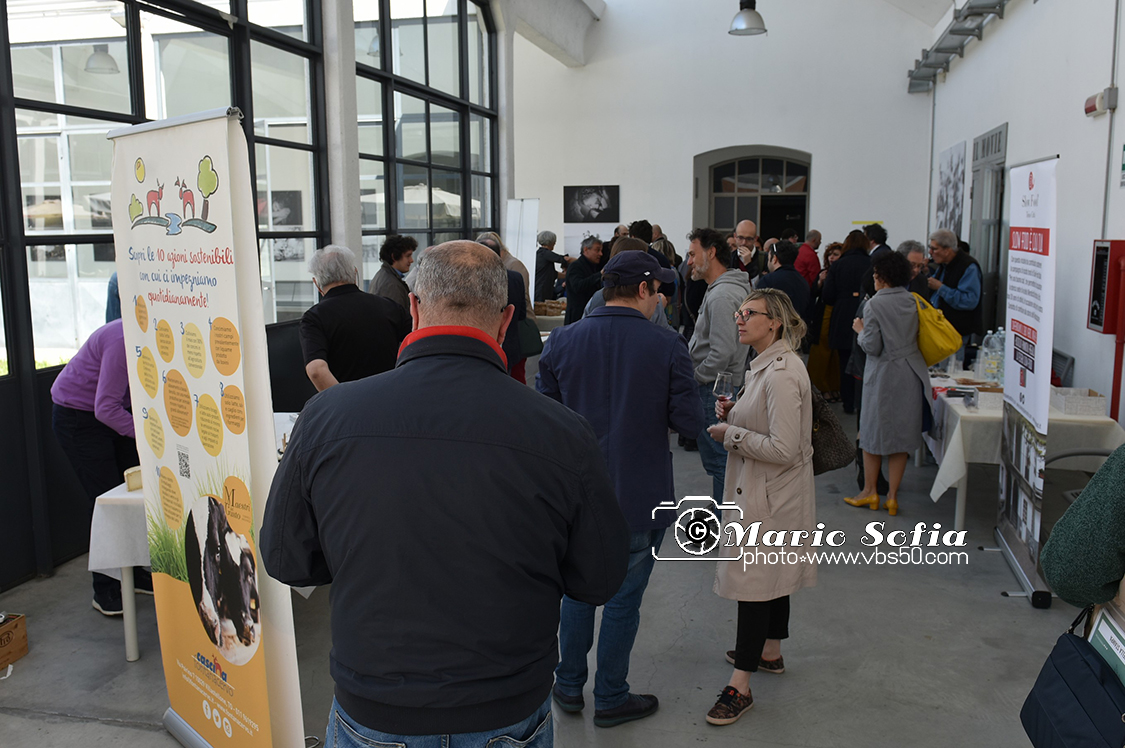 MAS_1005FotoMarioS.jpg