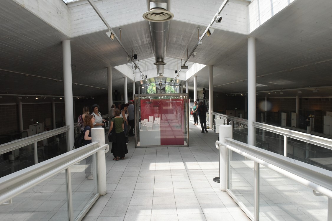 MAS_7589.jpg