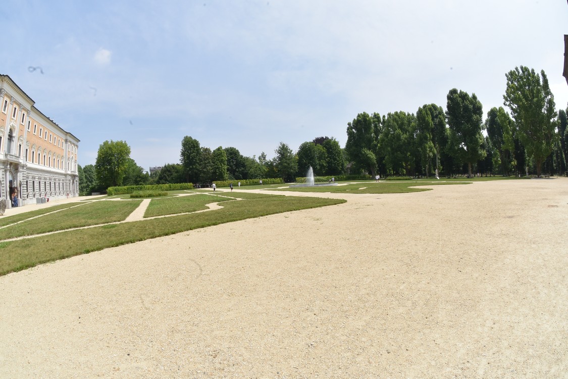 MAS_7607.jpg
