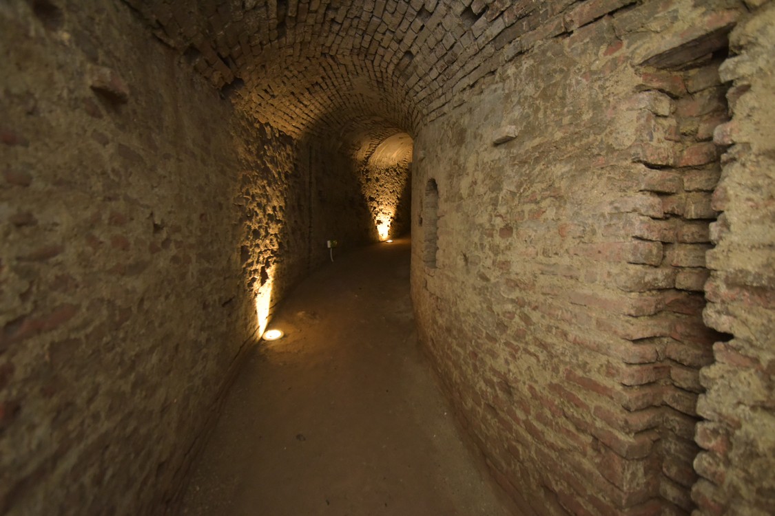 MAS_0024.jpg