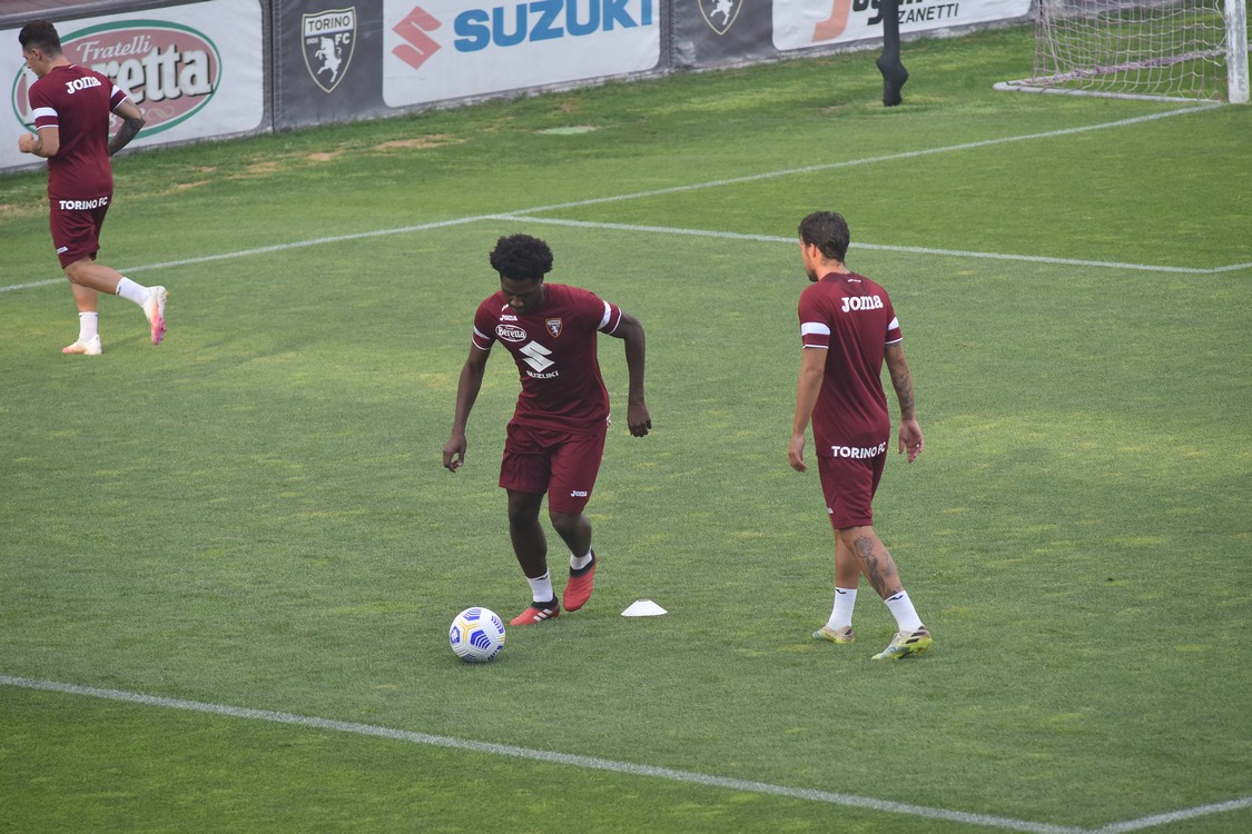 MAS_3072.jpg