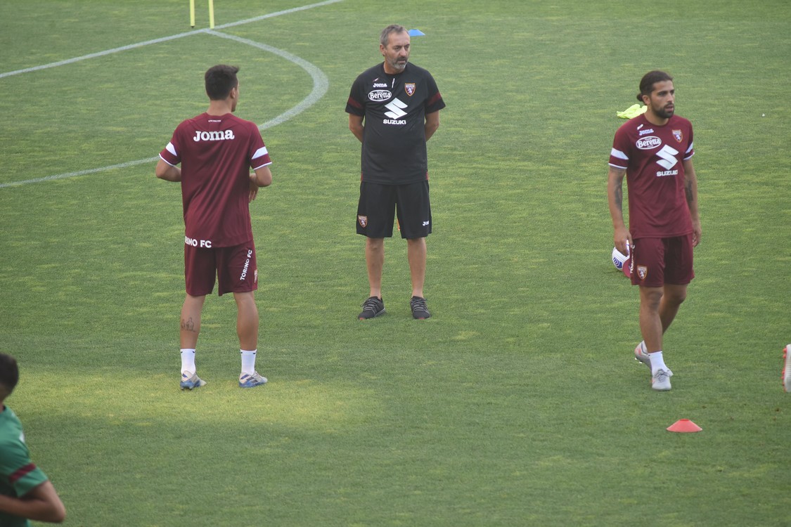 MAS_3108.jpg