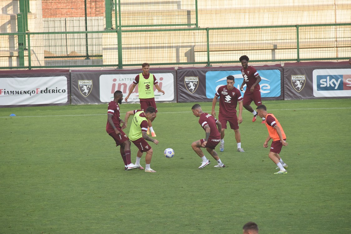 MAS_3178.jpg