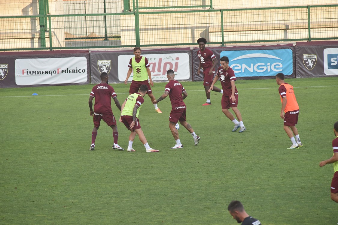 MAS_3179.jpg