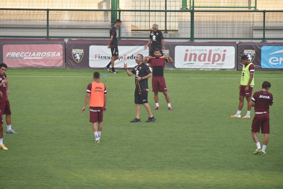 MAS_3182.jpg