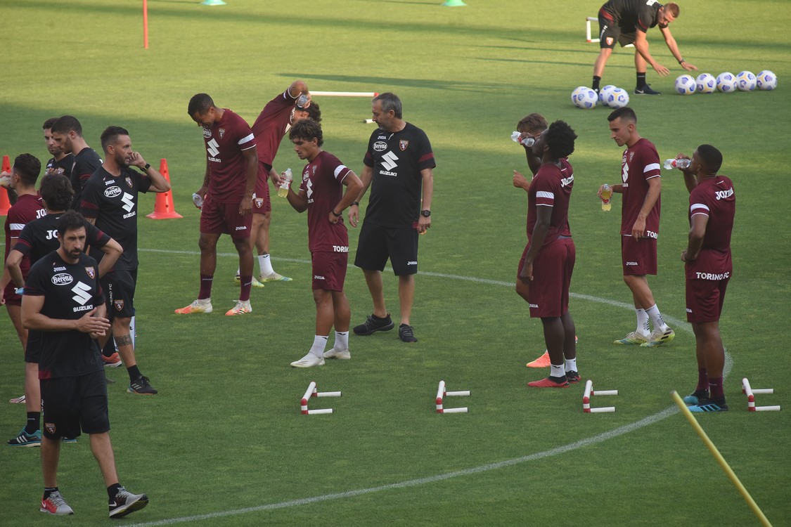 MAS_3185.jpg