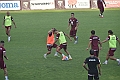 MAS_3154