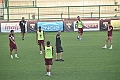 MAS_3177