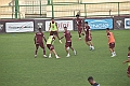 MAS_3179