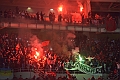 MAS_7884