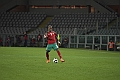 MAS_8016