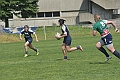 MAS_3677