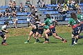 MAS_3684