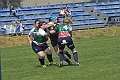 MAS_3694