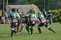MAS_3827