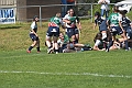 MAS_3894