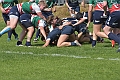 MAS_3906