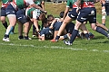 MAS_3907