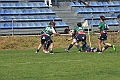 MAS_3919