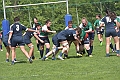 MAS_3953