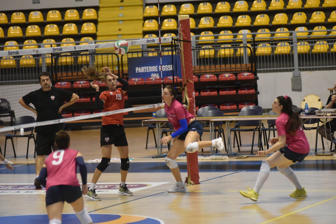 MAS_0443.jpg
