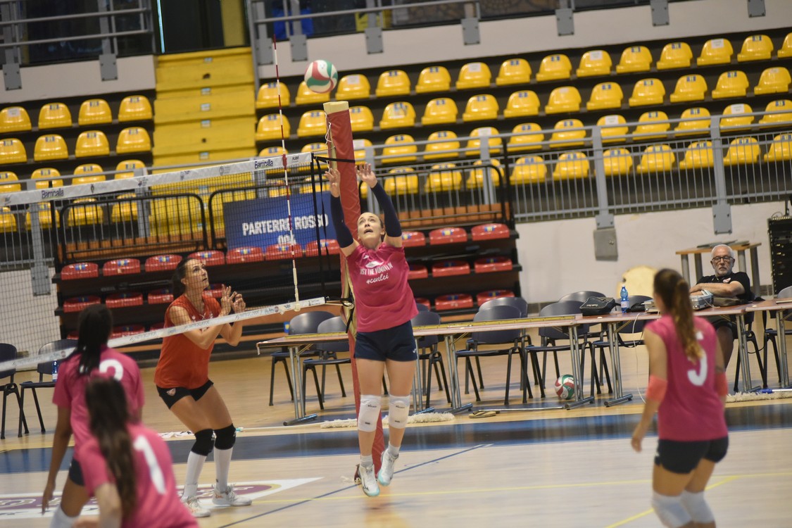 MAS_0477.jpg