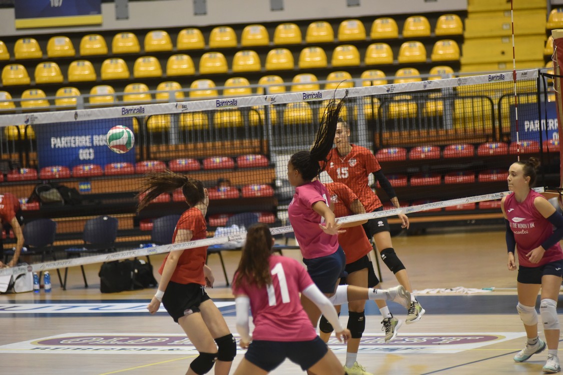 MAS_0519.jpg